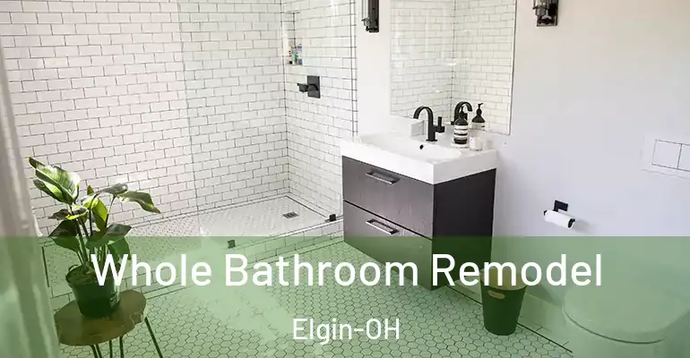 inner Bathroom imggen Whole Bathroom Remodel Elgin-OH