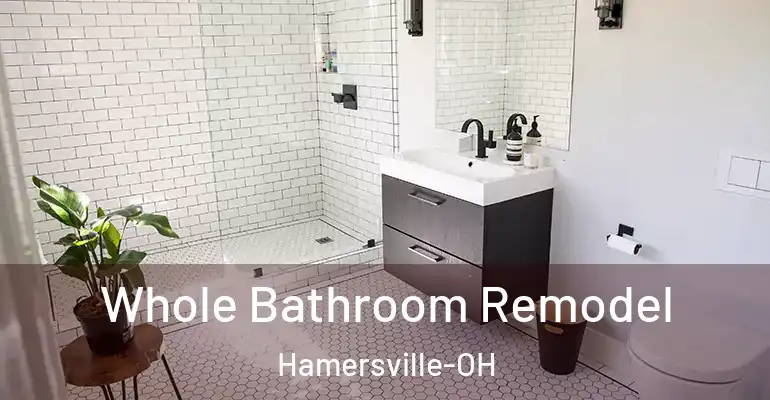 inner Bathroom imggen Whole Bathroom Remodel Hamersville-OH