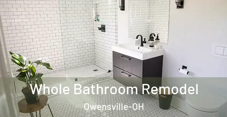 inner Bathroom imggen Whole Bathroom Remodel Owensville-OH