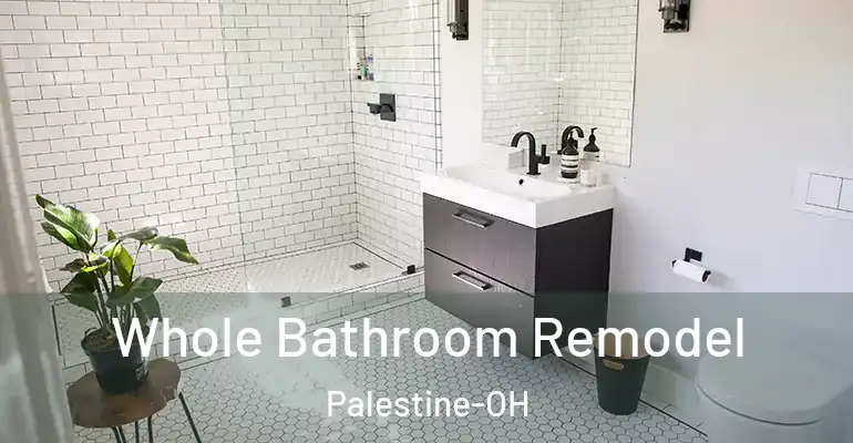 inner Bathroom imggen Whole Bathroom Remodel Palestine-OH