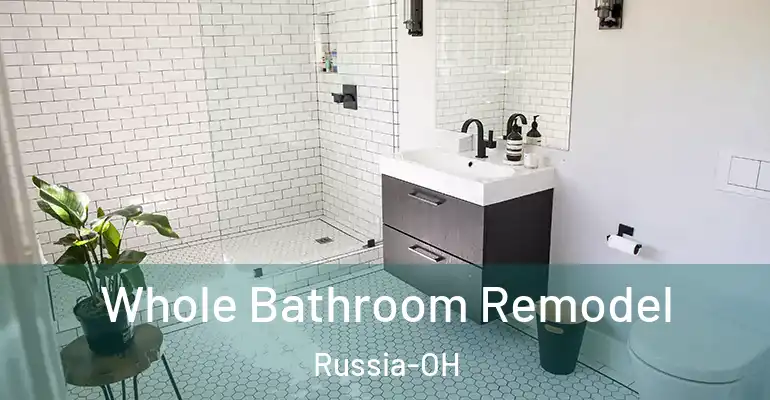 inner Bathroom imggen Whole Bathroom Remodel Russia-OH