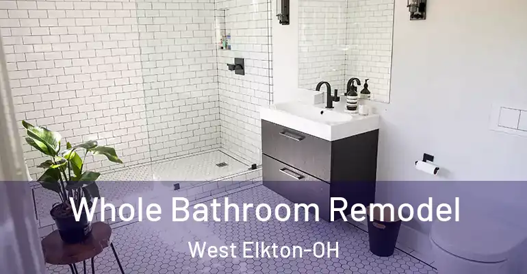 inner Bathroom imggen Whole Bathroom Remodel West Elkton-OH